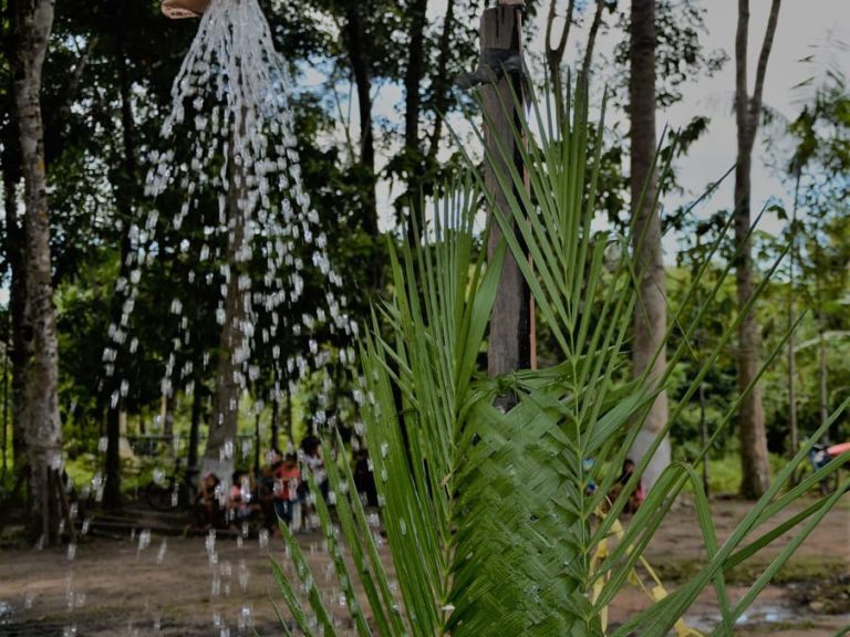 IMG 20190220 203859 328 768x576 1 1