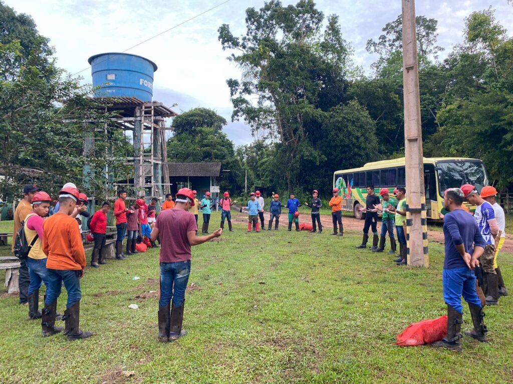 Manejadores iniciam coleta da andiroba na Floresta Nacional do Tapajós 11 Andiroba 2023 12 1