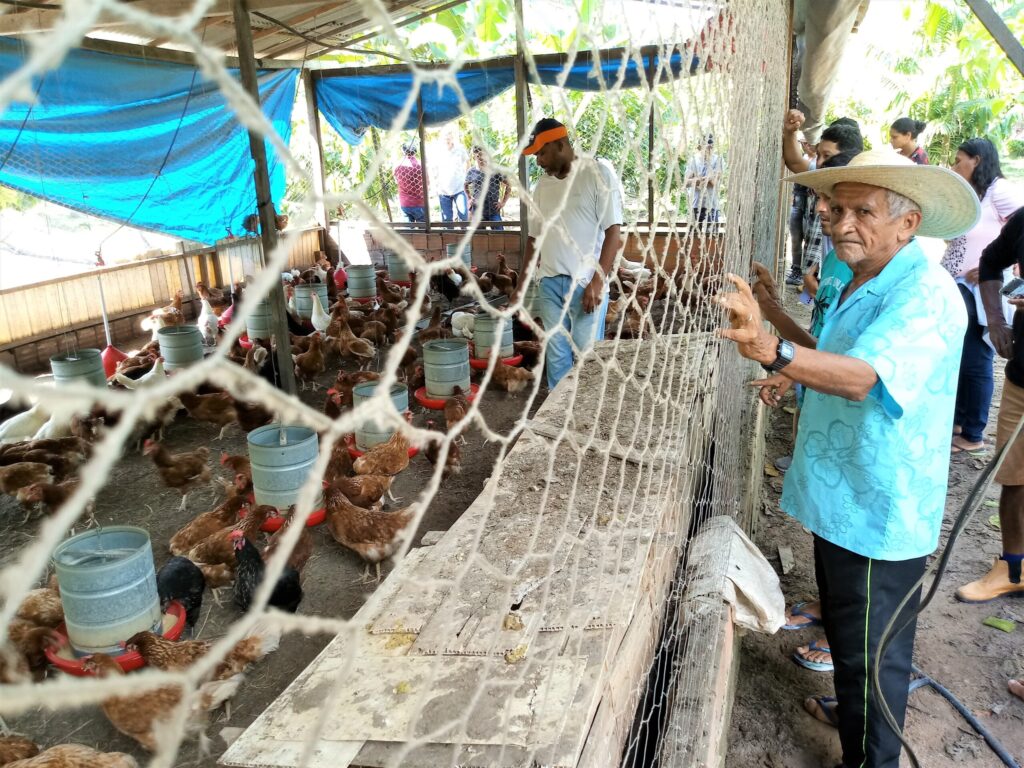 Produtores familiares participam de intercâmbio em Tomé-Açu para fortalecer produções de sistemas agroflorestais 3 intercambio 12 scaled 2