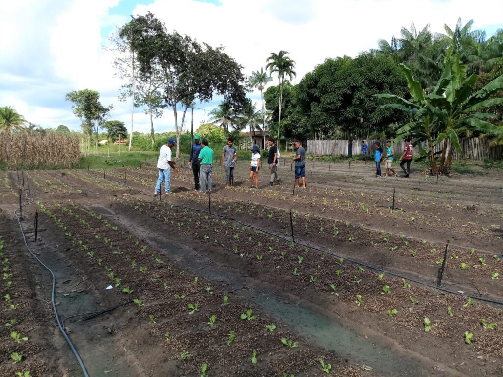 Produtores familiares participam de intercâmbio em Tomé-Açu para fortalecer produções de sistemas agroflorestais 4 intercambio 13 scaled 2