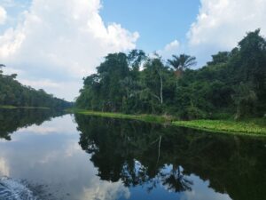 III Encontro do coletivo Munduruku Poy planeja safra da castanha: “importante para fortalecer a nossa resistência” 6 Mundurukus 1 scaled 1