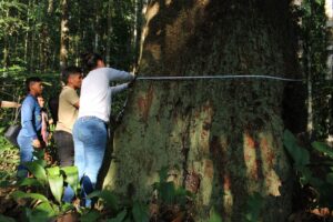III Encontro do coletivo Munduruku Poy planeja safra da castanha: “importante para fortalecer a nossa resistência” 12 Mundurukus 11 scaled 1