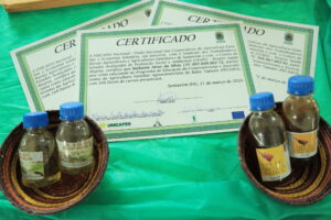 Parcerias governamentais impulsionam e escutam mulheres e jovens recém-formados em cooperativismo e associativismo da agricultura familiar agroextrativista 30 7Q6A0010 scaled 1