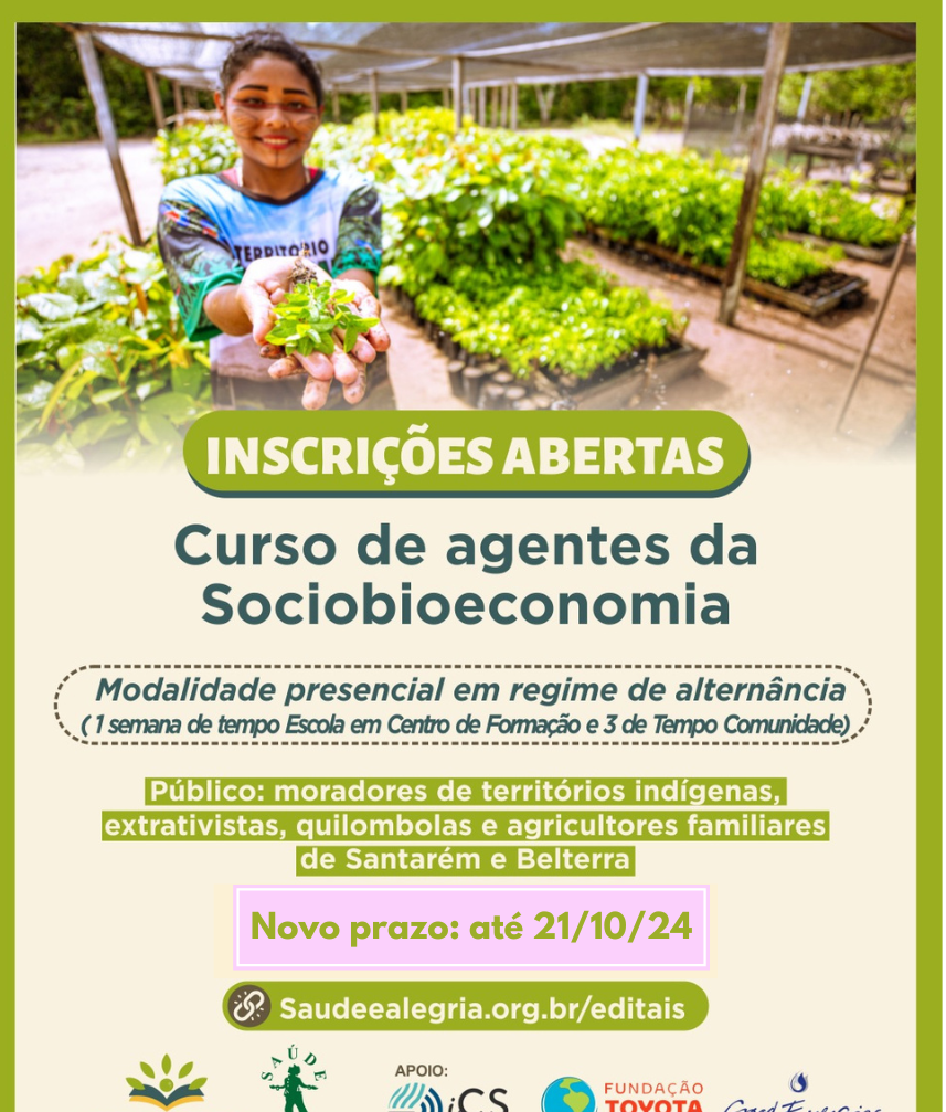 Texto do seu paragrafo 1 1