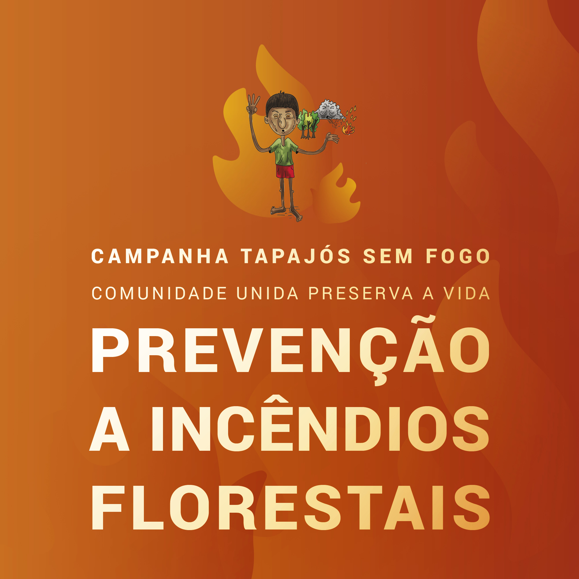 CARD Tapajos sem fogo 13 1