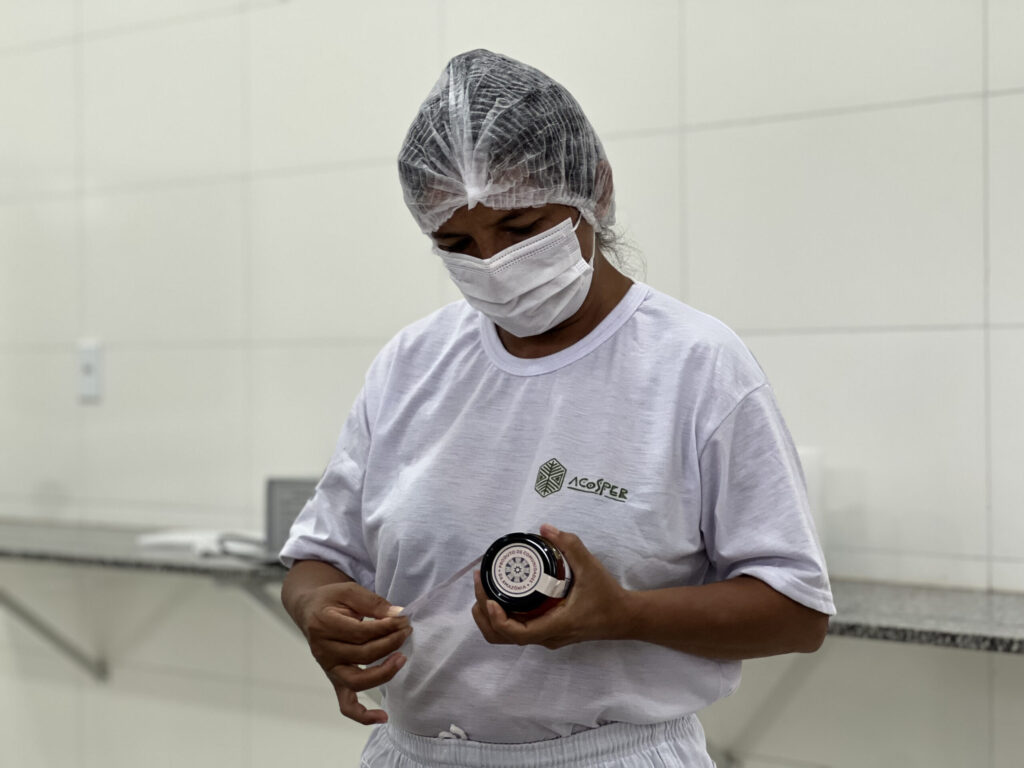 Oficina capacita meliponicultores comunitários para aproveitamento de própolis e pólen de abelhas nativas sem ferrão 7 IMG 0634 scaled 1