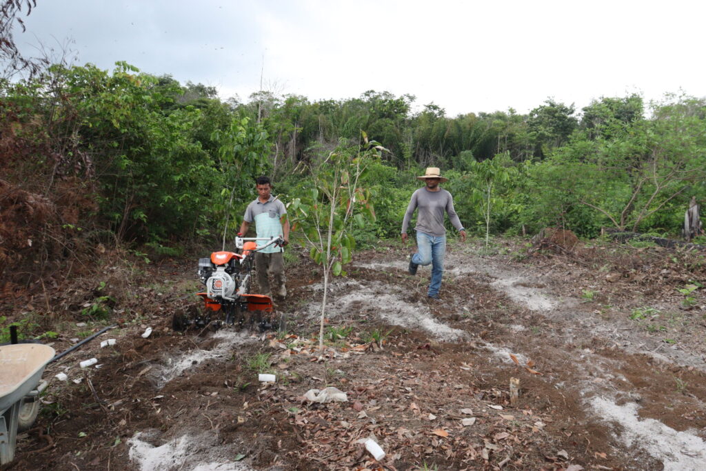 Projeto Saúde e Alegria capacita produtores com uso de motocultivadores para ampliar cultivo agrícola em sistemas florestais 5 IMG 9044 scaled 1