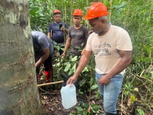Oficina da copaíba capacita moradores para manejo e extração na Floresta Nacional do Tapajós 7 WhatsApp Image 2025 06 28 at 10.27.46 1