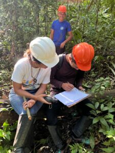 Mapeamento da Copaíba fortalece cadeia produtiva e garante rastreabilidade do óleo para o Ecocentro da Sociobioeconomia 8 copaiba 10 1