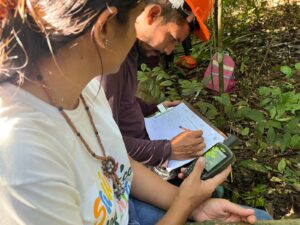 Mapeamento da Copaíba fortalece cadeia produtiva e garante rastreabilidade do óleo para o Ecocentro da Sociobioeconomia 13 copaiba 11 1