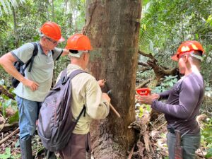 Mapeamento da Copaíba fortalece cadeia produtiva e garante rastreabilidade do óleo para o Ecocentro da Sociobioeconomia 10 copaiba 2 1