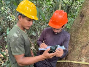 Mapeamento da Copaíba fortalece cadeia produtiva e garante rastreabilidade do óleo para o Ecocentro da Sociobioeconomia 6 copaiba 4 1