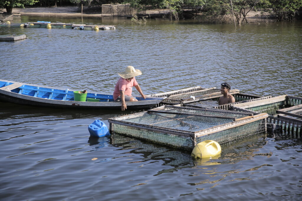 Fiocruz e Ministério da Saúde conhecem tecnologias sociais e discutem caminhos para um SUS adaptado à realidade amazônica 15 IMG 0532