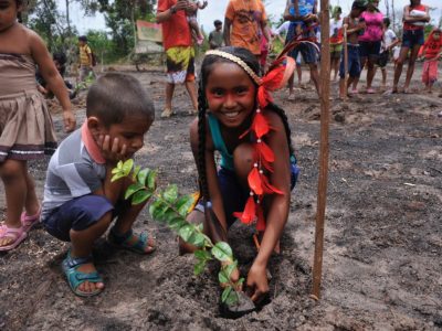 Assunto: Criancas auto declaradas  da etnia Tupinamba da Aldeia Pajura na comunidade de Cabeceira do Amorim no Rio Tapajos - RESEX Tapajos-Arapiuns plantando mudas de especies nativas
Local: Santarem - PA
Data: 03/2017
Autor: Chico Ferreira