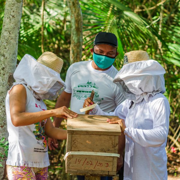 Projeto de Meliponicultura do Programa Floresta Ativa do Saúde e Alegria tem contribuído para geração de renda sustentável. Foto PSA.